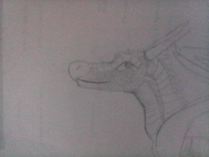 R:WIN 20190626 12 07 53 Pro.jpg