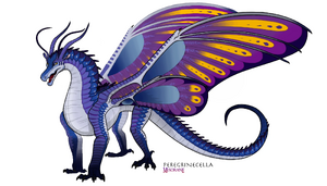 Aile de Soie adulte bleu-violet.png