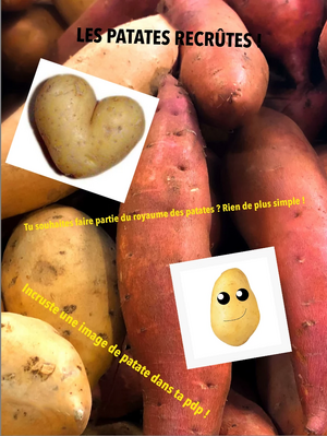 R:Les patates recrûtes !.jpg