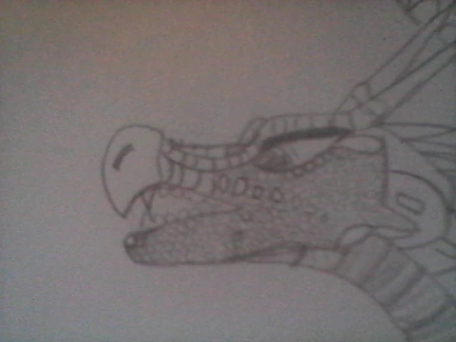 Fichier:R:WIN 20190627 20 50 03 Pro.jpg