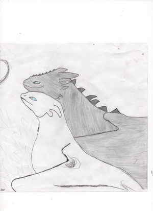 Krokmou et Furie éclair 001.jpg