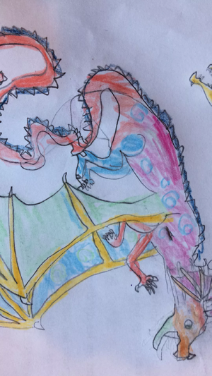 Aile de Pluie à longue queu.webp