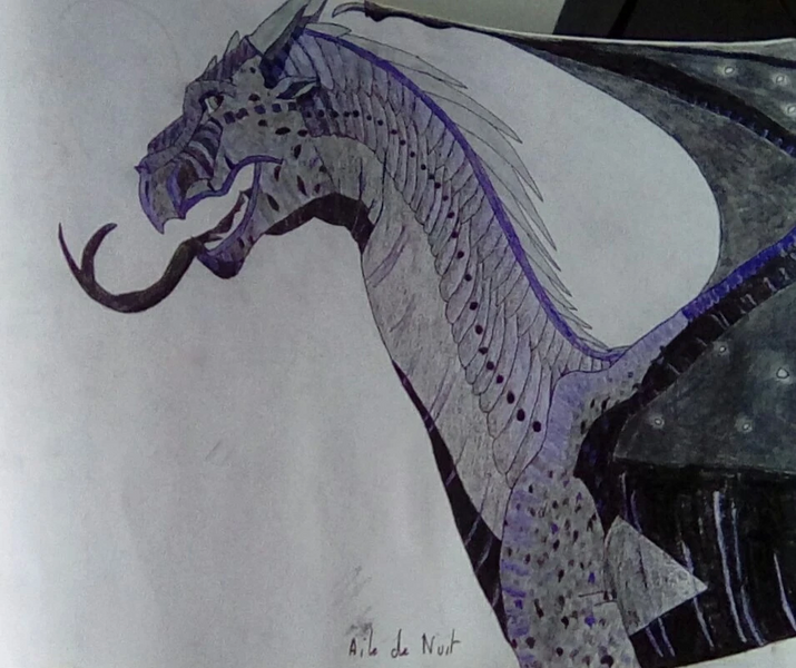 Fichier:IMG 20191023 122349 kindlephoto-17502999.jpg