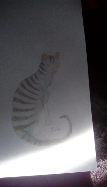 Fichier:R:IMG 20200226 120801.jpg