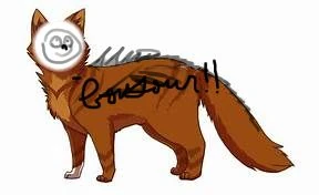 Fichier:R:Chat fou.jpg