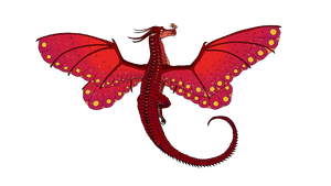 R:Aile de soie bordeau - couleur.png