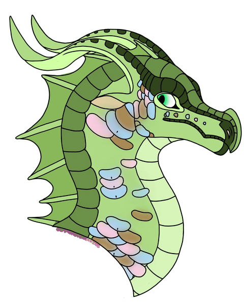 Fichier:Pour Hibiscus.png